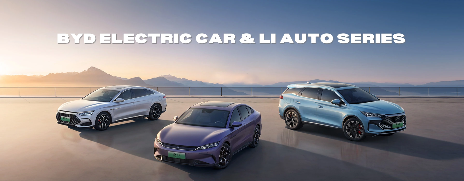 BYD electric car & LI auto supplier
