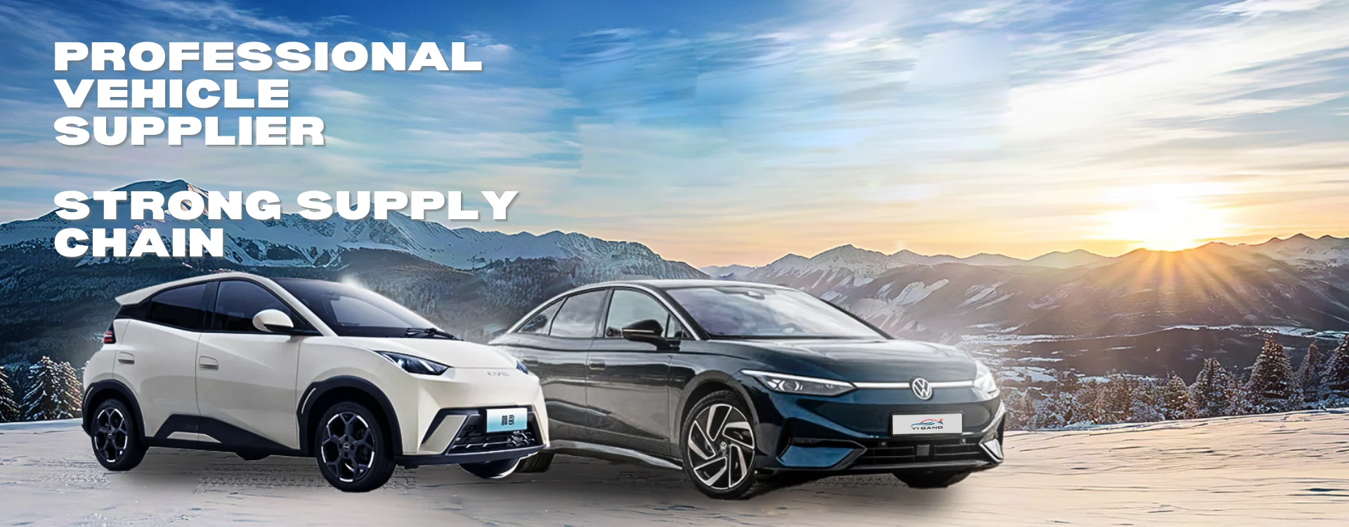 Commercial electric vehicles exporter