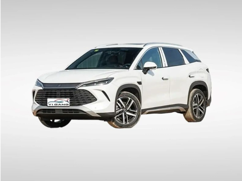 2025 BYD Song L-DMI 112km Leading Model