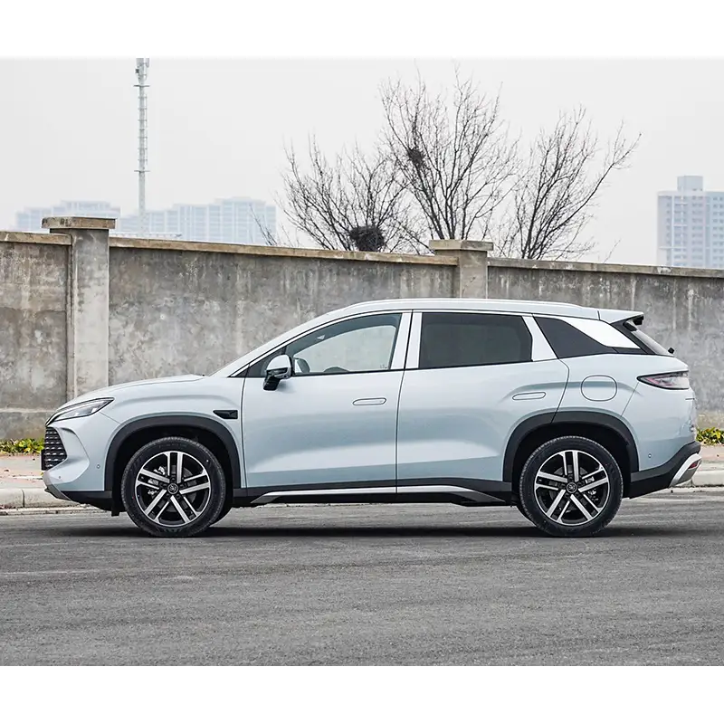 2025 BYD Song L-DMI 112km Leading Model