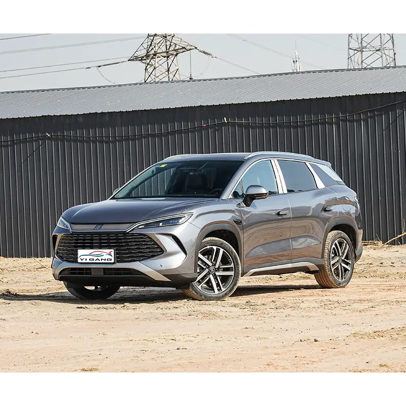 2025 BYD Song L-DMI 112km Leading Model