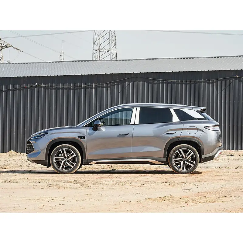 2025 BYD Song L-DMI 112km Leading Model