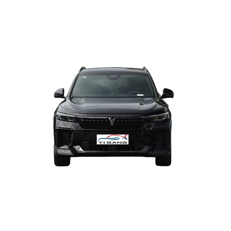 2025 Voyah FREE 318 318km rear wheel drive round trip version