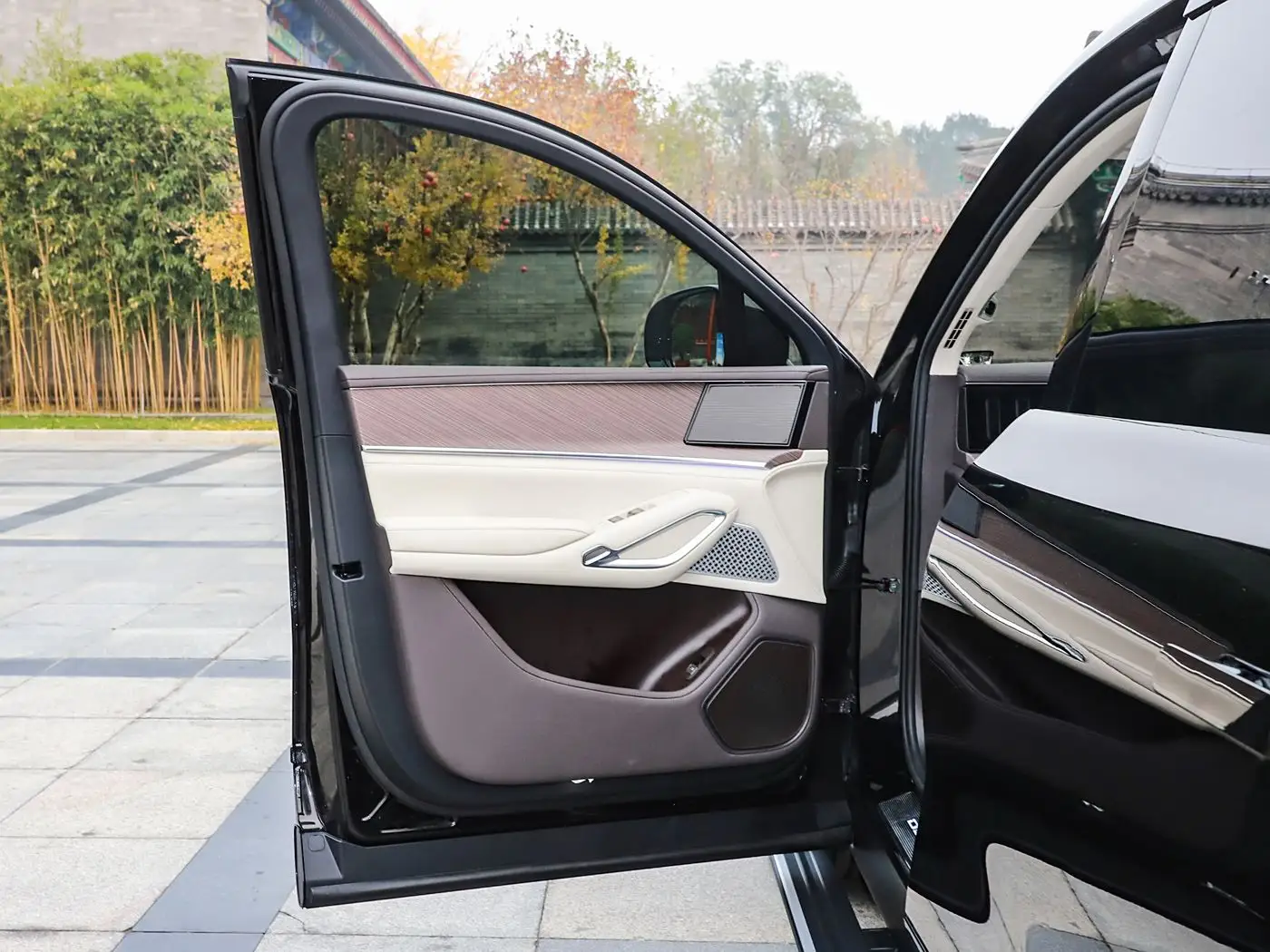2025 Denza N9 High-End Edition