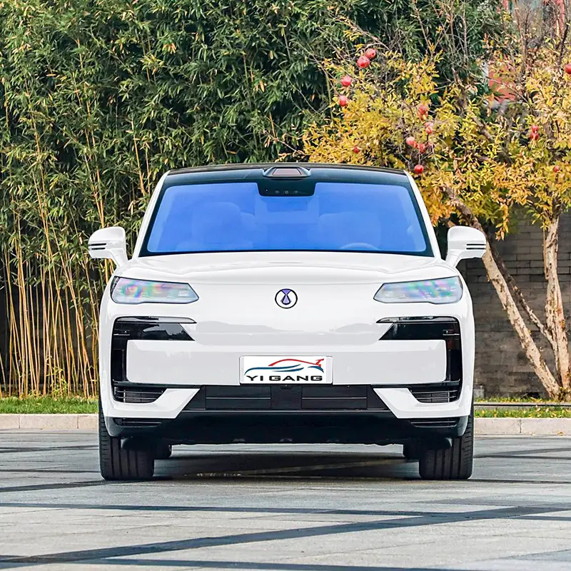 2025 Denza N9 High-End Edition