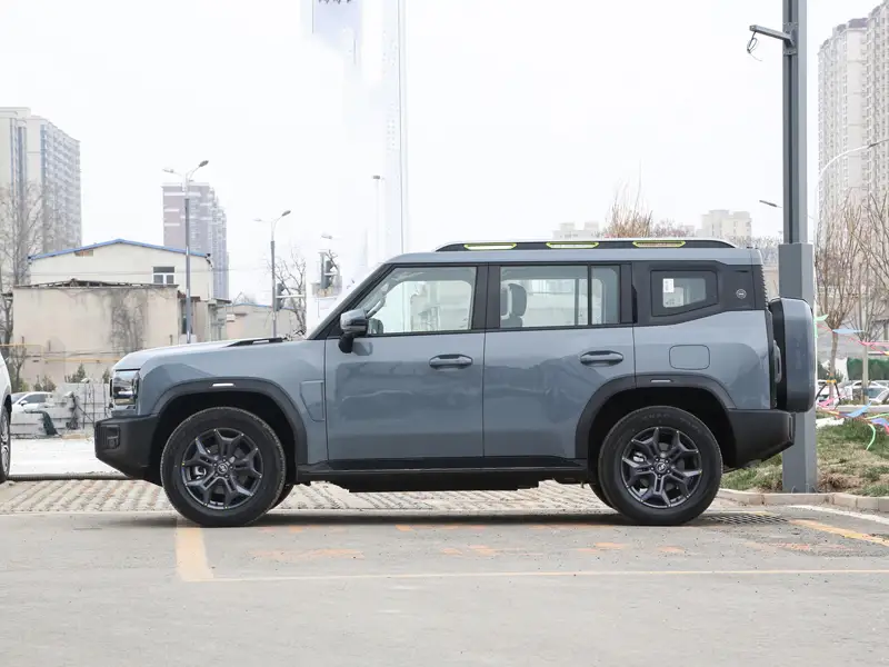 2024 Jetour Shanhai T2 C-DM 129KM Forest Edition