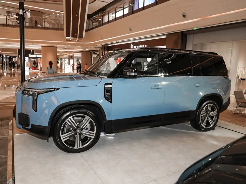 Polestones Jishi Premium 6-Seater Edition