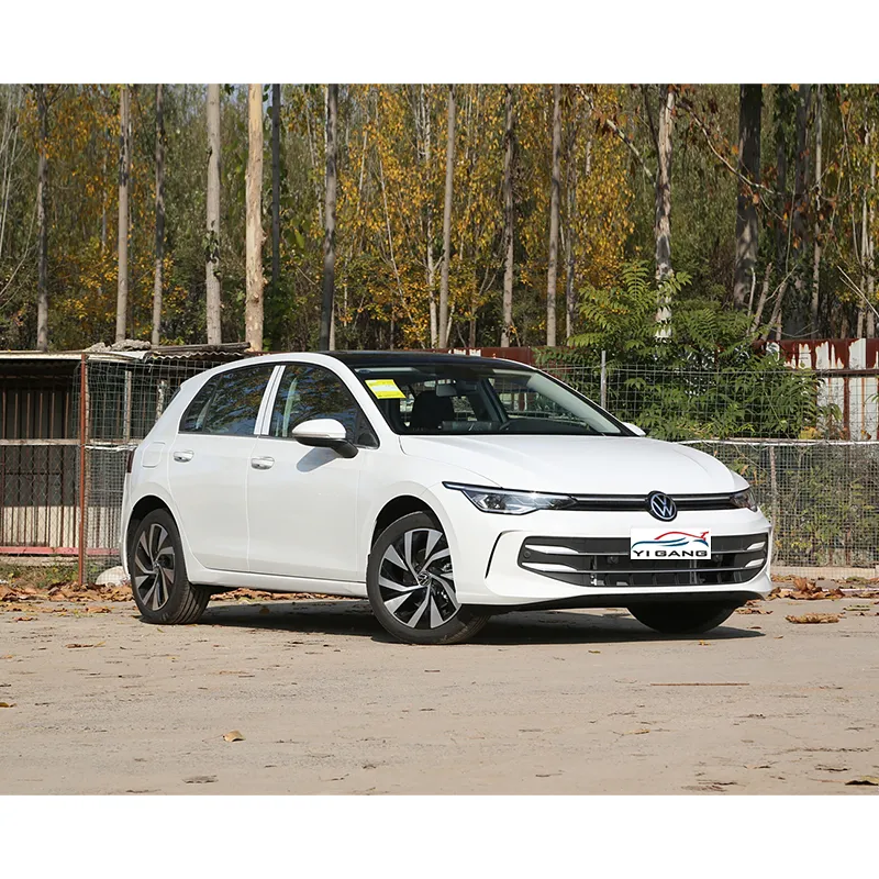 A Practical 2025 Buyer's Guide: 5 Checks for the Volkswagen electric e-Golf